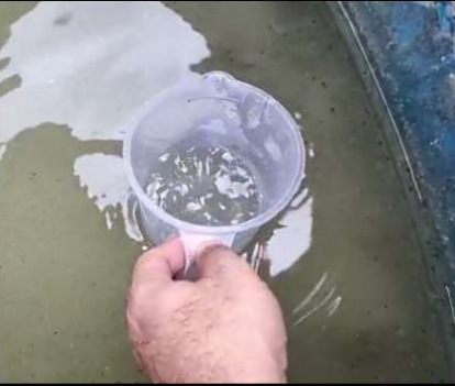 Efluente em tratamento